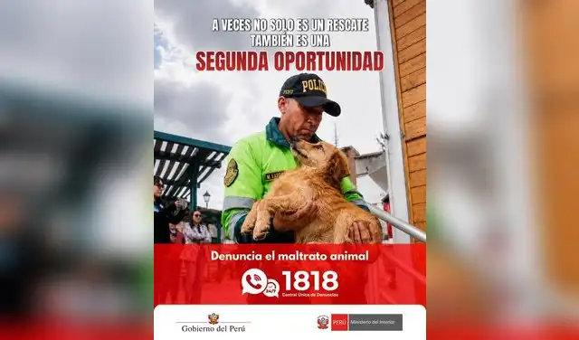 Así puedes denunciar el maltrato animal.
