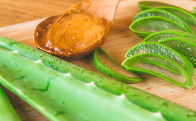 Beneficios del aloe vera.