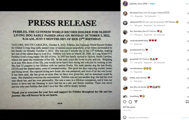 Crédito: Cuenta oficial de Pebbles. Crédito: Cuenta oficial de Pebbles.