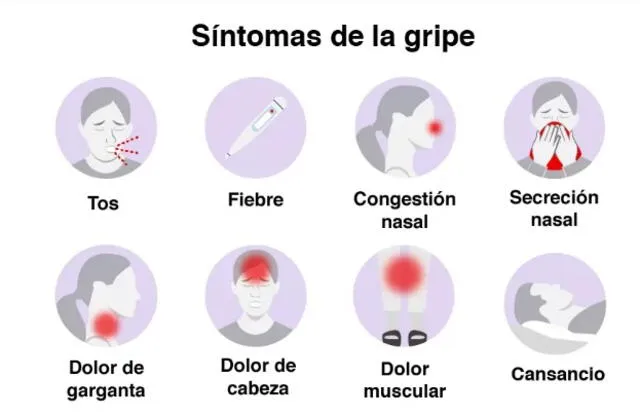  Síntomas de la gripe. Crédito: BBC.COM   