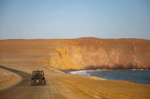 Reserva Nacional de Paracas.