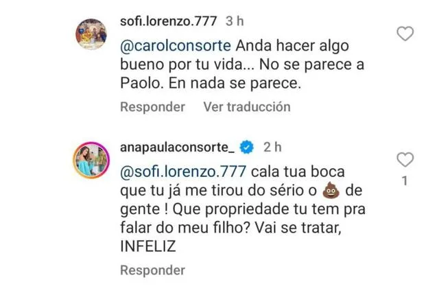 Instagram Ana Paula Consorte   
