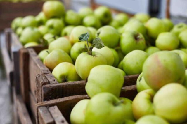 Manzana verde