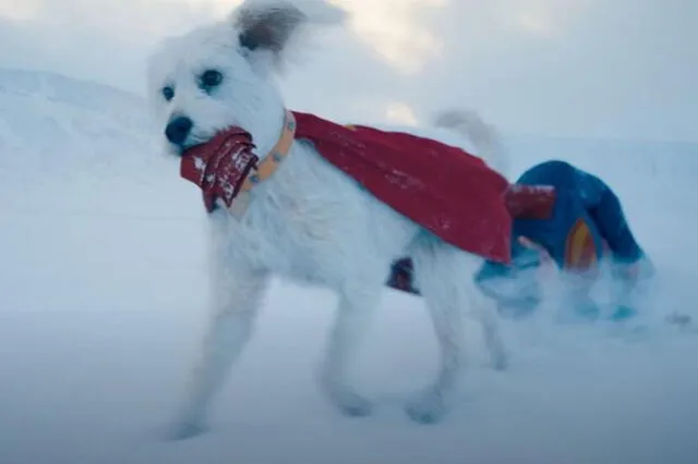  Krypto hará su primera aparición en películas live action de Superman. Foto: DC Studios   