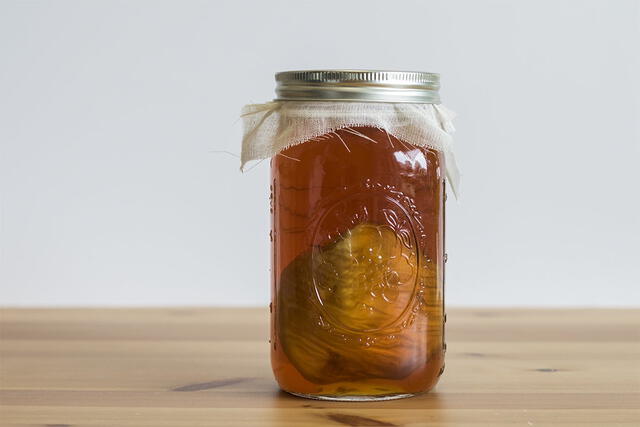 kombucha kombucha