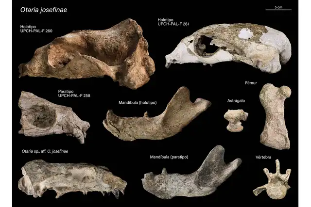 ¿En qué estado se encontró a 