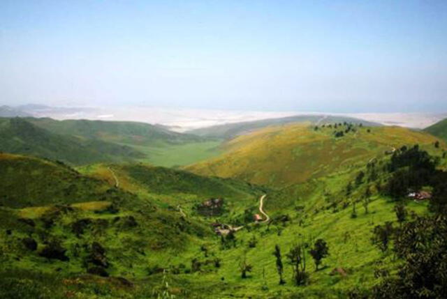  Lomas de Lachay. Foto: Andina   