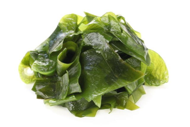 wakame wakame