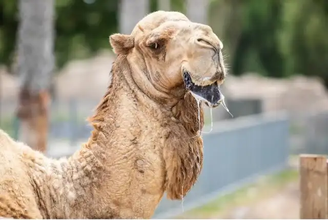 La muere de Víctor ha generado gran conmoción.
