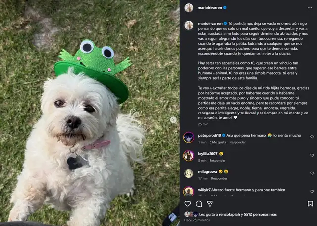 Mario Irivarren se despidió de la 'hijita' que crío con Onelia Molina Mario Irivarren se despidió de la 'hijita' que crío con Onelia Molina