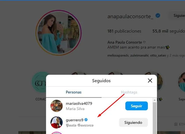 Ana Paula Consorte Instagram   
