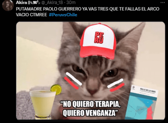 MEMES de Paolo Guerrero por fallarse GOL para Perú