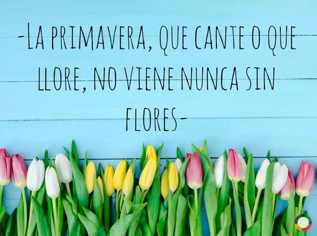 Las mejores frases, dedicatorias e imágenes del inicio de la Primavera en Perú para enviar por WhatsApp 