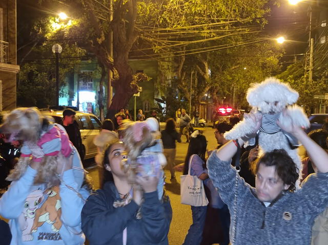 Mascotas se hicieron presentes en plantón contra mujer que agredió a Andrés Wiese.