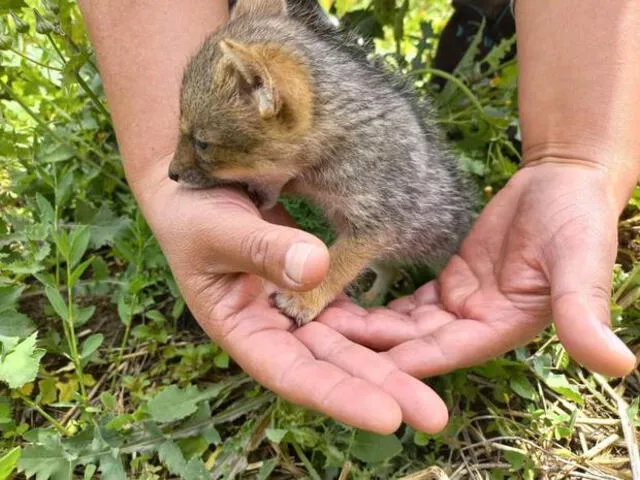 elpopular.pe elpopular.pe