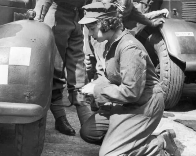  Participó de la Segunda Guerra Mundial. Crédito: Animal.mx 