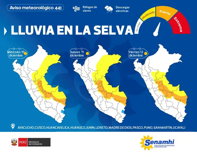 Lluvia en la selva. Lluvia en la selva.