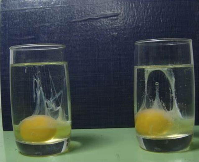 ¿Qué significa cuando el huevo sale sucio o turbio?