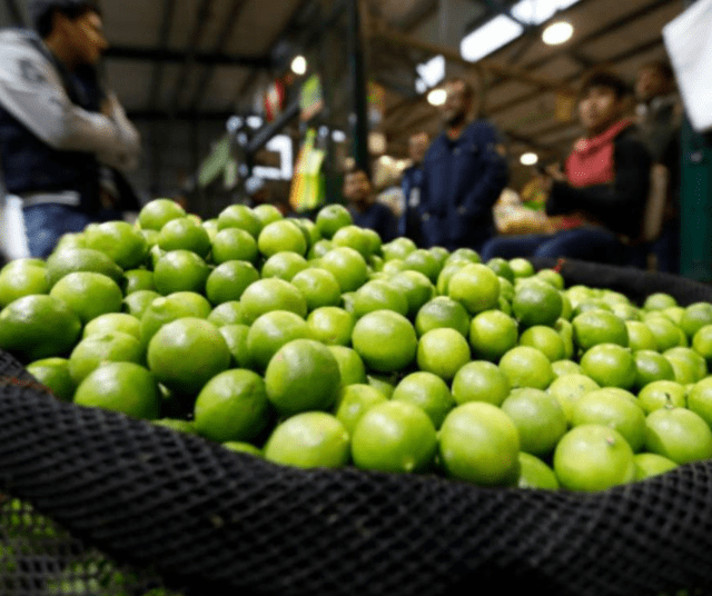 <strong> Precio del limón subirá hasta 10 soles, ¿cuándo se regularizará?</strong>   