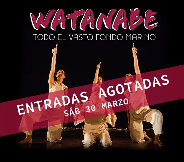  Vania Accinelli sigue en la actuación.