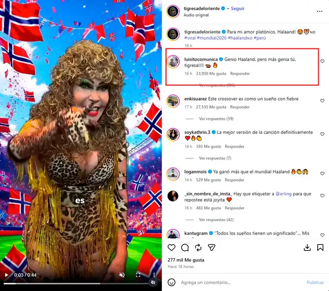 ¡Golpe Al Corazón Del Androide! La Tigresa del Oriente cae rendida ante Erling Haaland y le dedica INSÓLITO video: ¡Golpe Al Corazón Del Androide! La Tigresa del Oriente cae rendida ante Erling Haaland y le dedica INSÓLITO video: