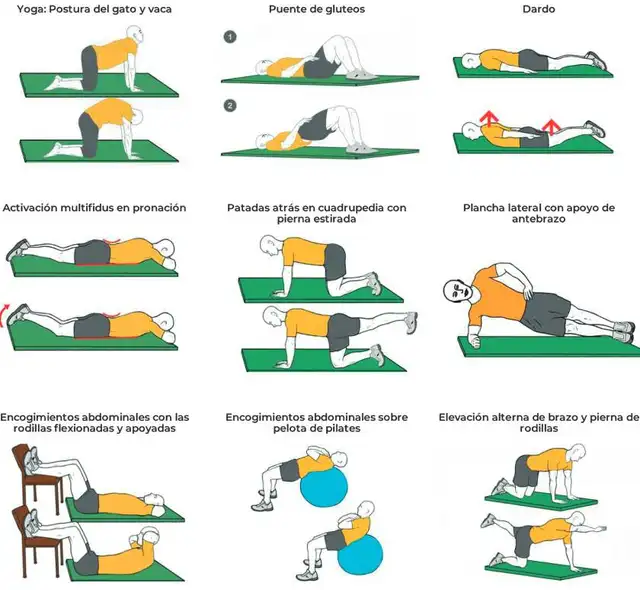  Ejercicios para prevenir el dolor lumbar. Crédito:Cuidateplus. 