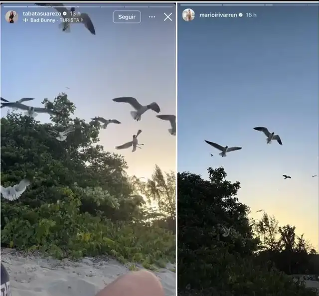 ¡SE FUERON JUNTITOS! Mario Irivarren y Tabata Suárez DESATAN rumores de romance en Puerto Rico
