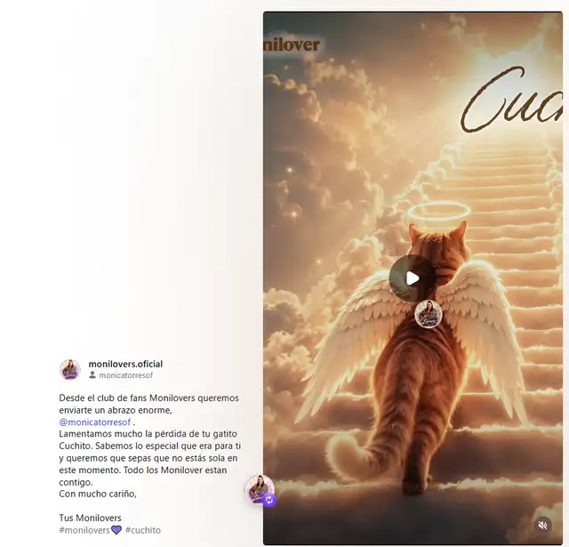 Club de fans de Mónica Torres le manda condolencias por la muerte de su gatito. Club de fans de Mónica Torres le manda condolencias por la muerte de su gatito.