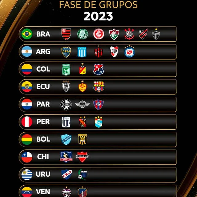 Los equipos que jugará la Libertadores.   