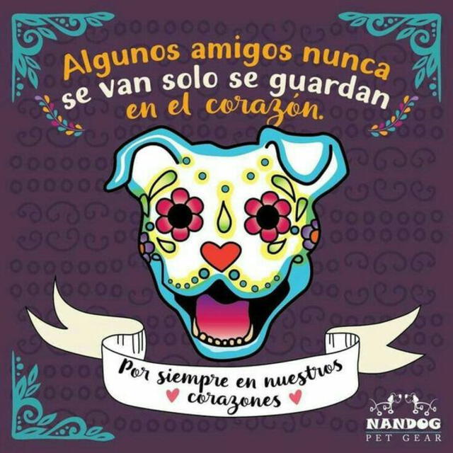  Día de los Muertos 2023 | Créditos: Pinterest    