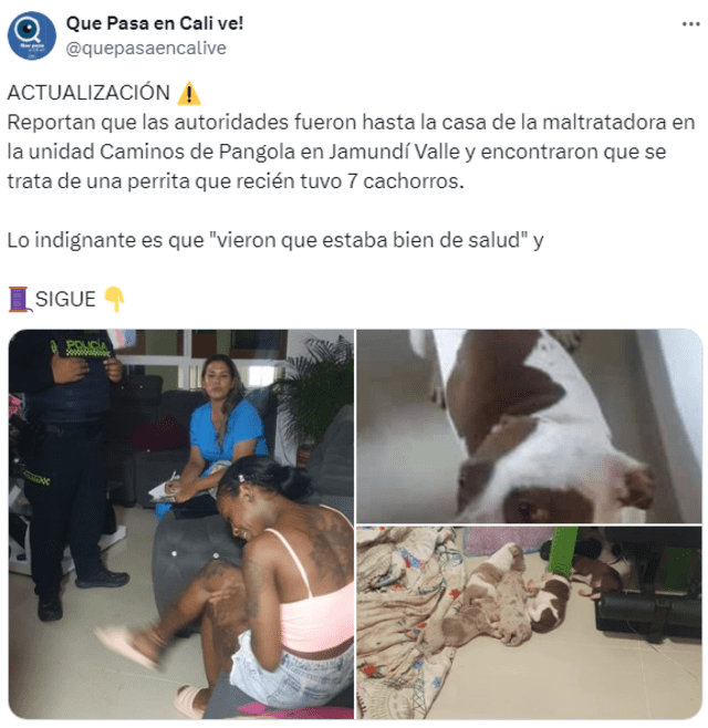 Todo indicaría que esta mujer se dedicaría a la venta de cachorros de raza. Foto: X 