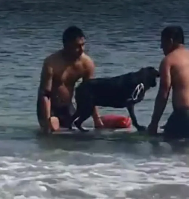 Perro y dueño casi mueren en mar de Marcona. 