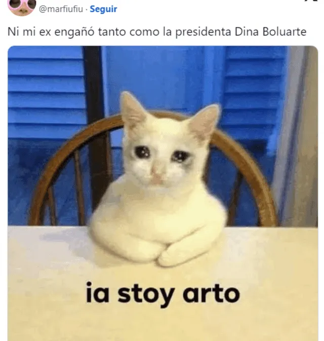 Memes de Dina Boluarte en redes sociales. Foto: X   