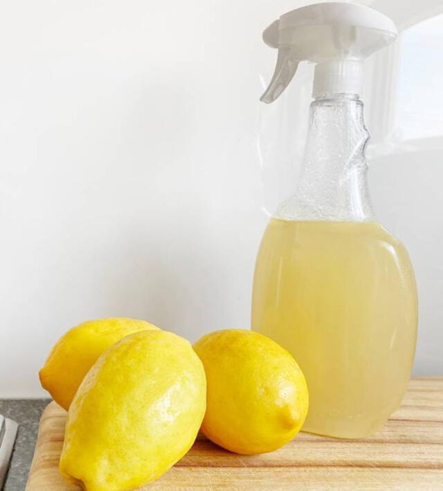  El spray de cítricos ayuda a repeler a los gatos. Foto: Cuerpomente 