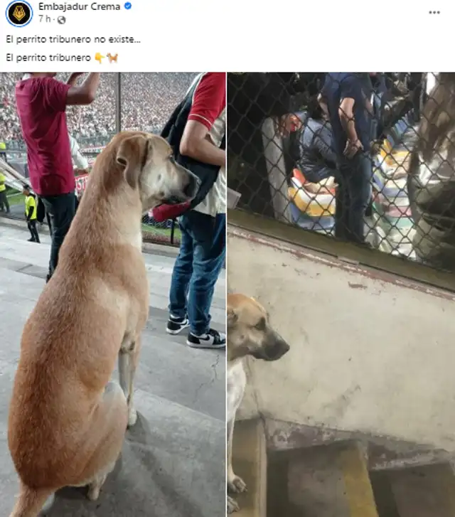 Captura de Facebook: Embajadur Crema.   