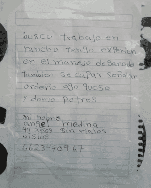 El contenido de la Hoja de Vida de Ángel Medina que se hizo viral en las redes sociales.   