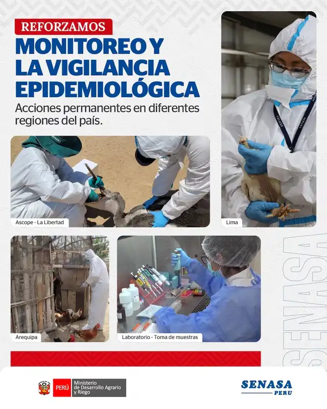 ¿Cuáles son las prohibiciones que impuso Senasa tras detección de casos de influencia aviar? ¿Cuáles son las prohibiciones que impuso Senasa tras detección de casos de influencia aviar?