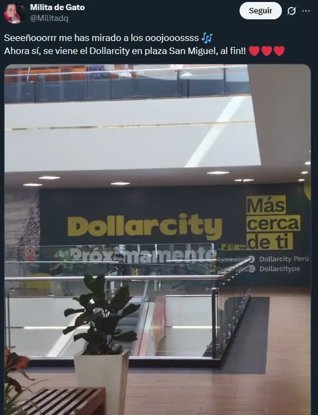 DollarCity DollarCity