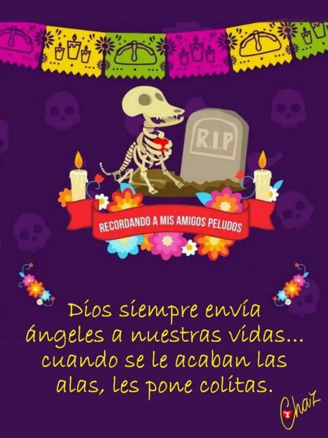  Día de los Muertos 2023 | Créditos: Pinterest    