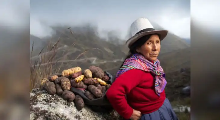 Día del Campesino Día del Campesino