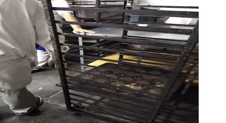 Clausuran panadería que operaba en condiciones antihigiénicas