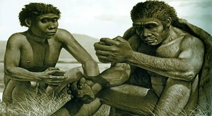 El Homo Habilis fue el primero en crear herramientas de piedra. El Homo Habilis fue el primero en crear herramientas de piedra.