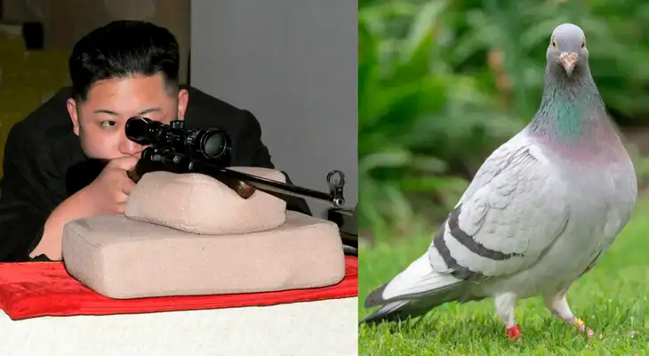 Los norcoreanos han estado disparando a las aves provenientes del vecino país asiático. También se ha culpado a los gatos callejeros de propagar el coronavirus. Los norcoreanos han estado disparando a las aves provenientes del vecino país asiático. También se ha culpado a los gatos callejeros de propagar el coronavirus.