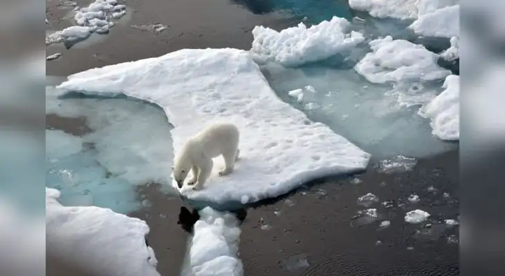 Hace unos días la comunidad científica observaba el desprendimiento de un iceberg llamado A-76 de la Antártida.
