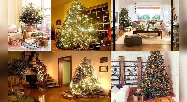 Has brillar tu árbol de Navidad en el lugar correcto. Has brillar tu árbol de Navidad en el lugar correcto.