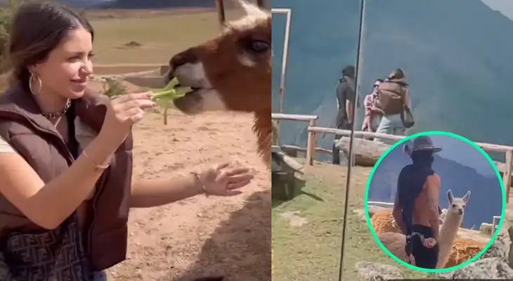 Instarandula compartió imágenes de Flavia Laos y el conocido influencer hawaiano paseándose por los lugares históricos de Cusco, pese a que no se han mostrado juntos en redes sociales. Instarandula compartió imágenes de Flavia Laos y el conocido influencer hawaiano paseándose por los lugares históricos de Cusco, pese a que no se han mostrado juntos en redes sociales.