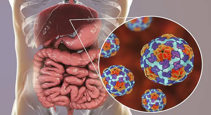 La hepatitis puede ser una enfermedad muy riesgosa si no se trata a tiempo. La hepatitis puede ser una enfermedad muy riesgosa si no se trata a tiempo.