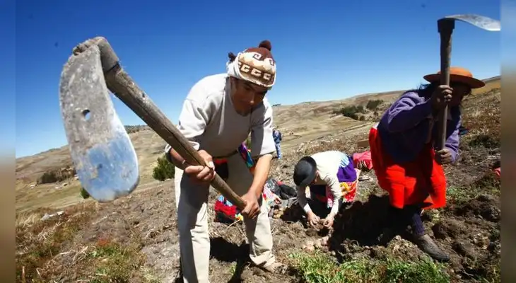 24 de Junio: Esta fecha permite revalorizar a los campesinos de todo el país. 24 de Junio: Esta fecha permite revalorizar a los campesinos de todo el país.