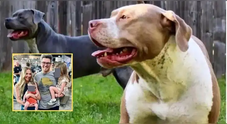 Hollace Dean y su hermanita, Lilly Jane, murieron en su casa atacados por los dos pitbull, quienes tenían ocho años con la familia en Estados Unidos.