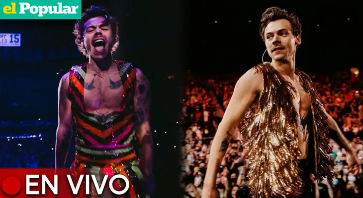 Harry Styles  brindará un show en nuestro país.
